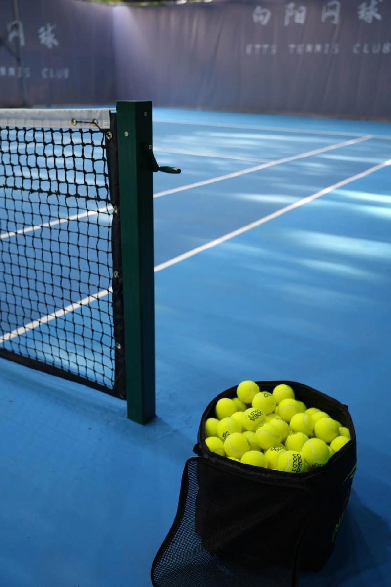 综合判断 综合判断