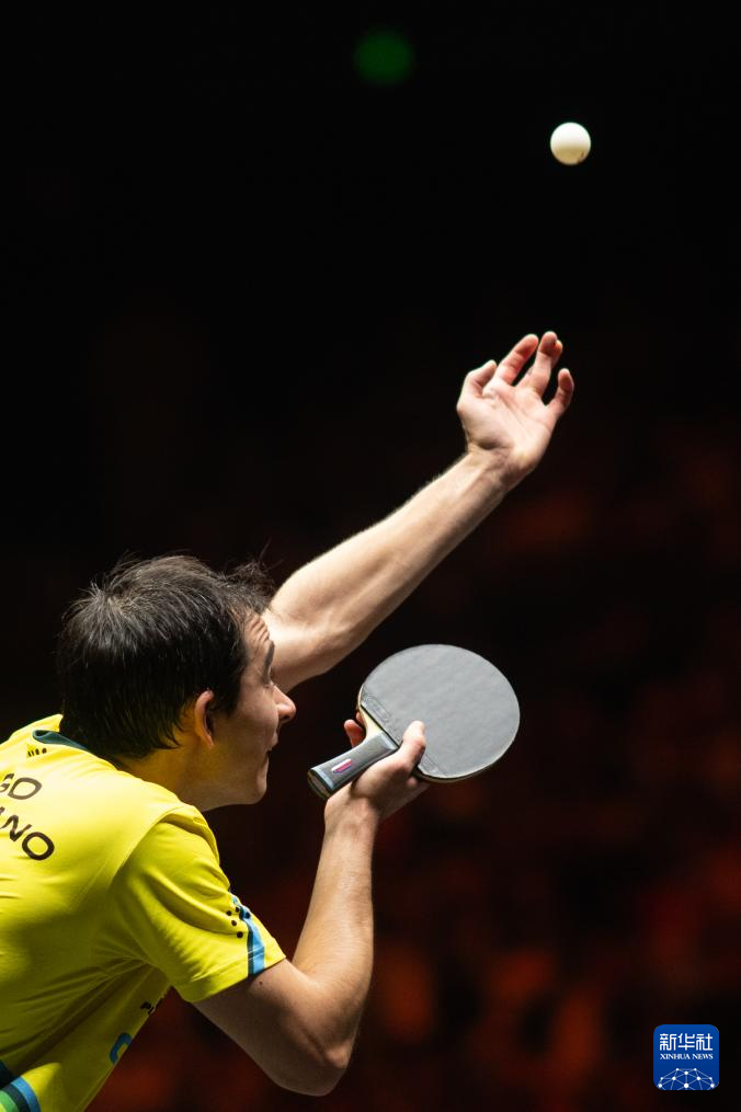 以上路径可 以上路径可